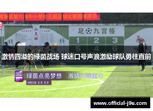 激情四溢的绿茵战场 球迷口号声浪激励球队勇往直前