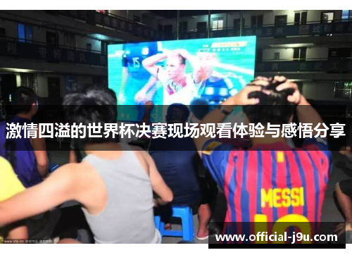 激情四溢的世界杯决赛现场观看体验与感悟分享