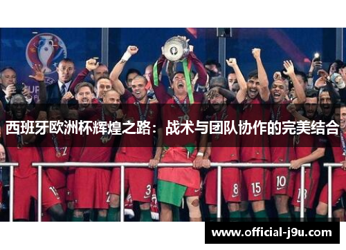 西班牙欧洲杯辉煌之路：战术与团队协作的完美结合
