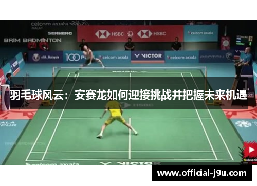 羽毛球风云：安赛龙如何迎接挑战并把握未来机遇