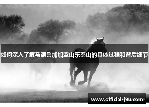 如何深入了解马德鲁加加盟山东泰山的具体过程和背后细节