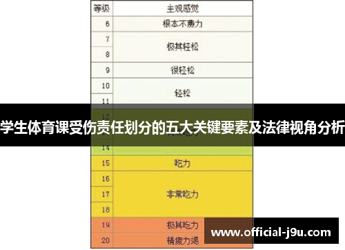 学生体育课受伤责任划分的五大关键要素及法律视角分析
