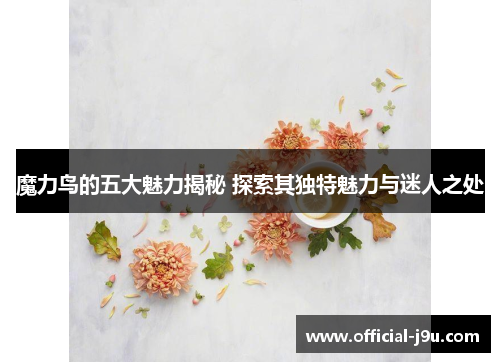 魔力鸟的五大魅力揭秘 探索其独特魅力与迷人之处